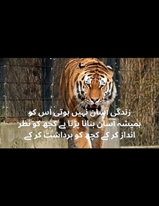 Urdu quote/achibatain/Urdu lines