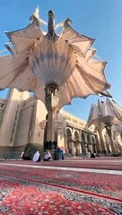 Rab ke karam ka jalwa bhi dekha