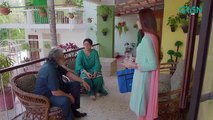Meray Ranjhna Episode 01 | Hina Altaf, Omer Shahzad, Washma Fatima & Faraz Farooqui [ENG CC] GreenTVdrama