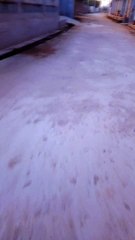 The sky was orange but this creat a beautiful view