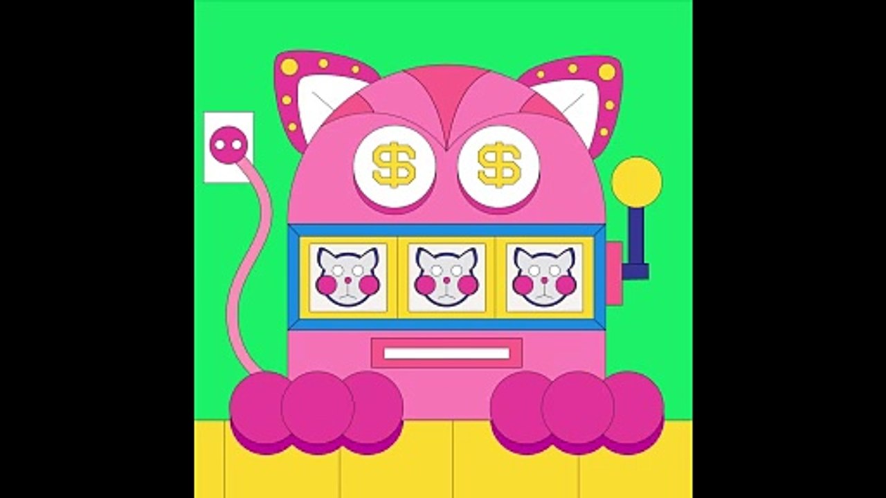 Cat from casino