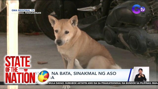 4-anyos na bata, sinakmal ng aso sa mukha | SONA