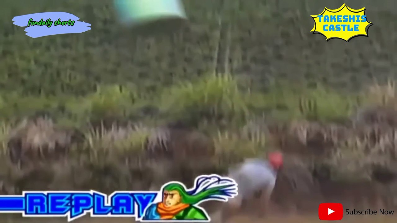 Takeshis Castle funny game show Ep Mushrooms tripa