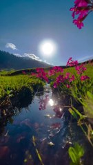 I love Kashmir beautiful view