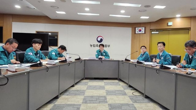 안동에서 아프리카돼지열병...영천 사례 이후 17일 만에 발생 / YTN