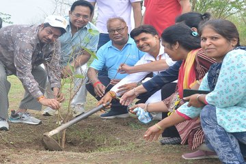 ऊर्जा मंत्री ने कही बड़ी बात, बोले, पौधे लगाएं तो पेड़ बनें. इतनी  चिंता रखें