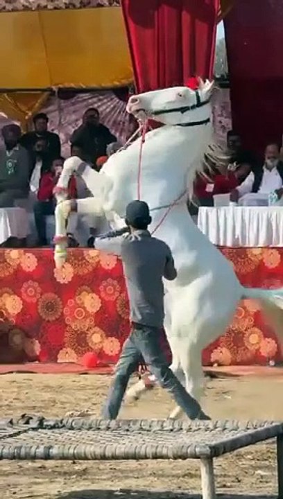 Beautiful hours dance