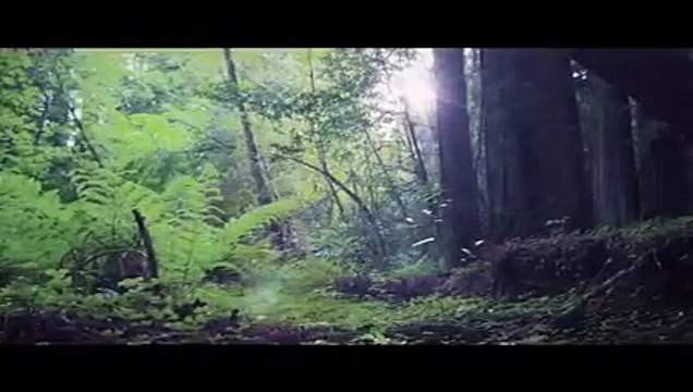 Lethal Virus Full Movie Action Horror new action movies,Action Movies 2023 Full Movie English , new action movies 2022, sci fi movies full length,action movies 2023 full movie english,new sci fi movies 2023,best sci fi