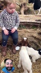 Funny Baby Laughing || Funniest Baby Video