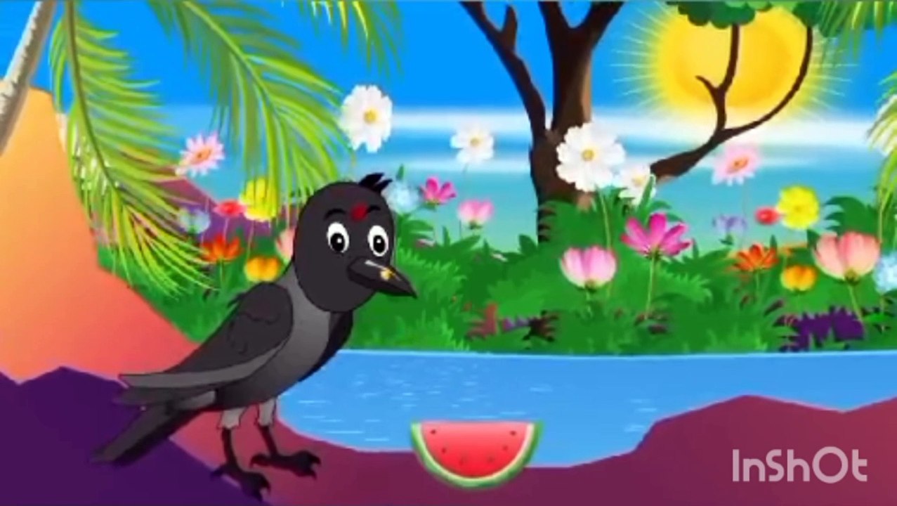 کوائی نے کیا کبوتر کے ساتھ مذاق