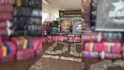 Denarc Cascavel e DOF-MS apreendem 8 toneladas de maconha