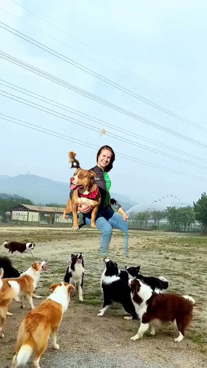 Funny video