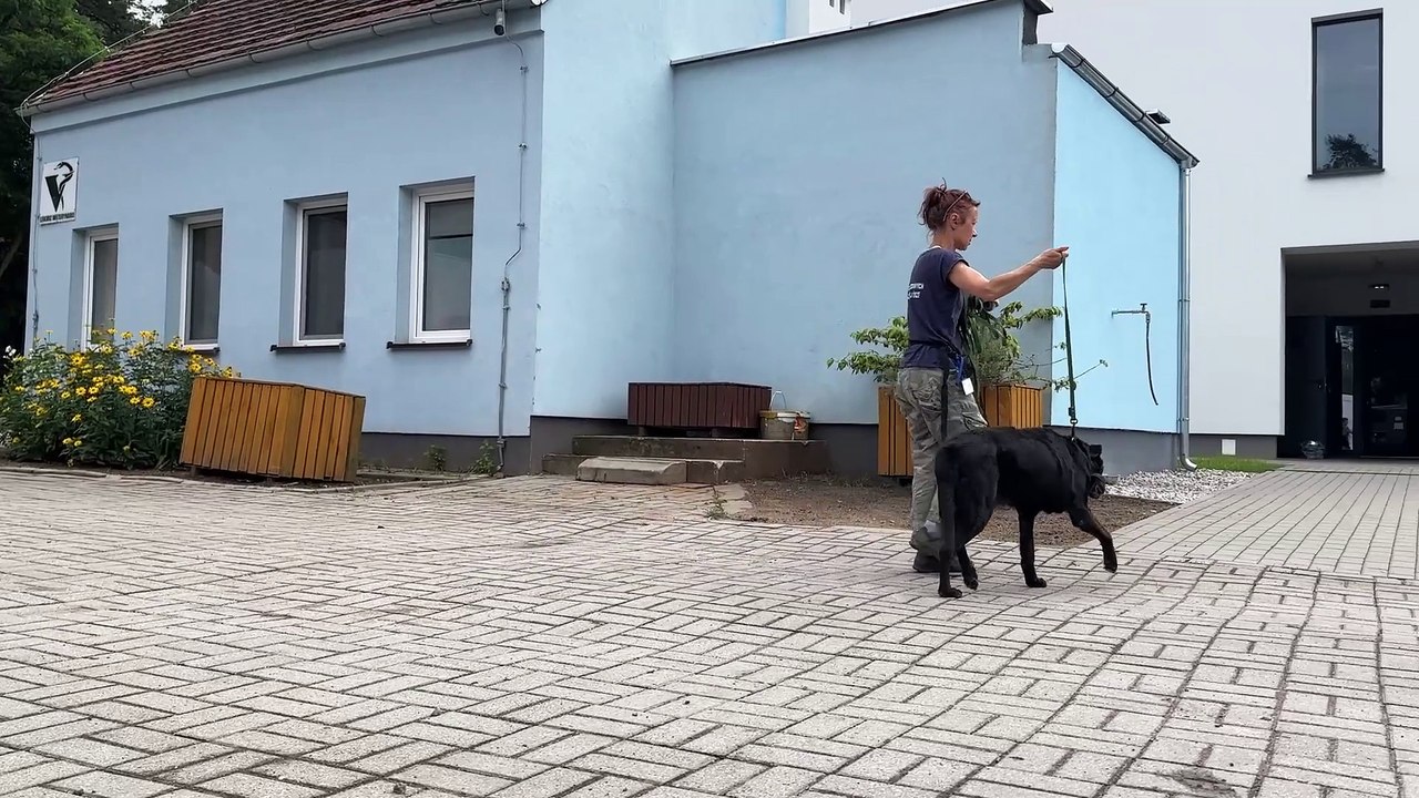 Gazeta Lubuska. Schronisko w Zielonej Górze ma nowy budynek