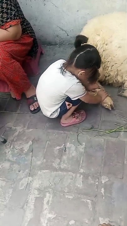 "Funny video | Hilarious Pranks and Epic Fails | LaughLab Comedy