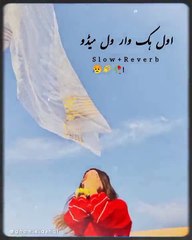 100k+views! aval hik war wal medo