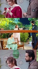 Ishq Murshid romantic seen