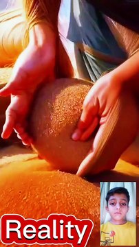 Reality entertainment funny video clips