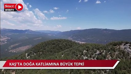 Kaş’ta doğa katliamına büyük tepki