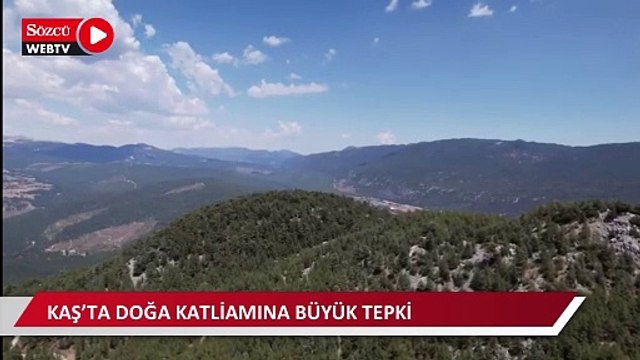 Kaş’ta doğa katliamına büyük tepki