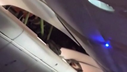 난기류 만난 여객기 또 비상착륙...브라질 상공서 30여 명 부상 / YTN