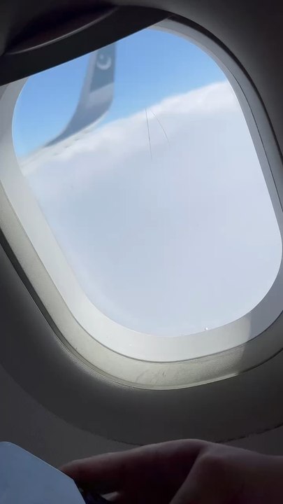 #Fly