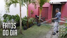 Veja dicas para manter as plantas saudáveis durante o verão amazônico