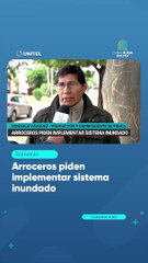 Arroceros piden implementar sistema inundado