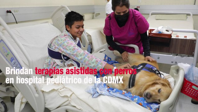 Brindan terapias asistidas con perros en hospital pediátrico de la CDMX