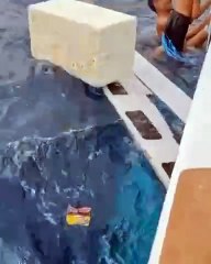 Perjuangan Ayah Yang Berusaha Menyelamatkan Anaknya Saat Perahunya Tenggelam