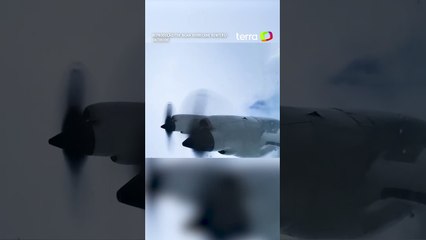 Caçadores de furacão voam com avião dentro do Beryl, que avança no Caribe #shorts