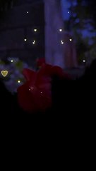 Sunrise beautiful view s