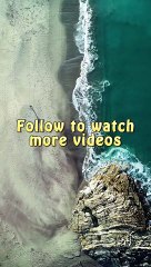 Top 10 Quiz Questions You should answer | Tricky Quiz By Alpha Studio