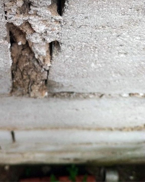 |Habib Ariel Coriat Harrar| El Papel de la Inteligencia Artificial en la Transformación de la Atención al Cliente (PARTE 1) (@HABIBARIELC)