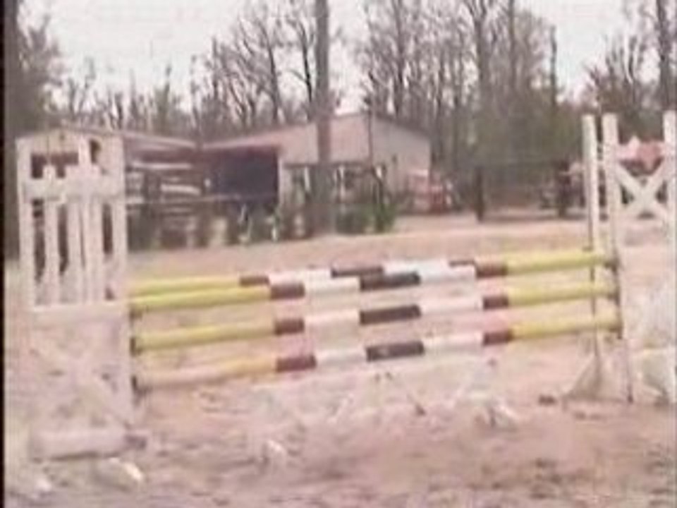 Elodie & M'Moi 13/04/08 CSO Cl1 Les Etisses