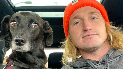 Surfer Has A Big Accident — So He Fosters A Dog