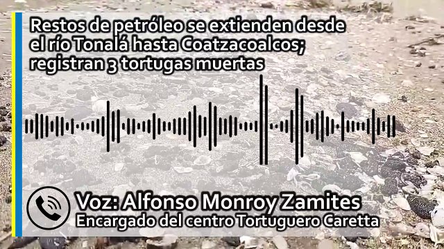 Restos de petróleo se extienden desde el río Tonalá hasta Coatzacoalcos; registran 3 tortugas muertas