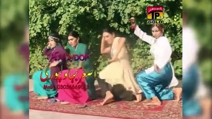 Lokan Do Do Yaar Banaye _ Afshan Zaibi _ (Official Music Video) Tp Gold