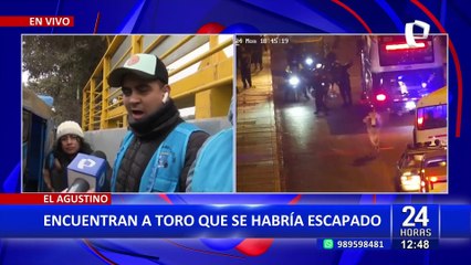 ¡Insólito! Toro se escapa y genera caos en las calles de El Agustino