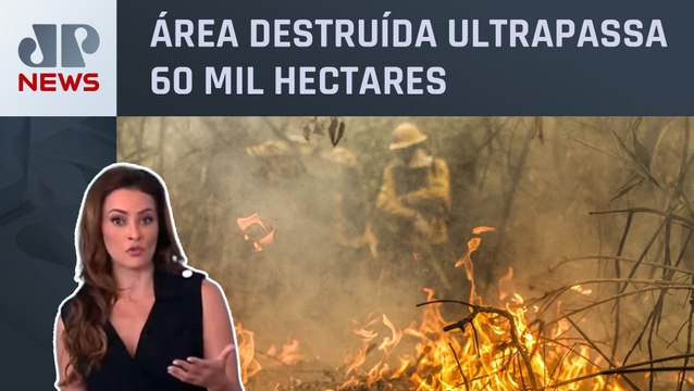 Polícia Federal vai indiciar responsáveis por incêndios no Pantanal; Patrícia Costa analisa