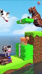 Knowledge vs Money With Cartoon Cow vs Tiger.  Shorts Cartoon