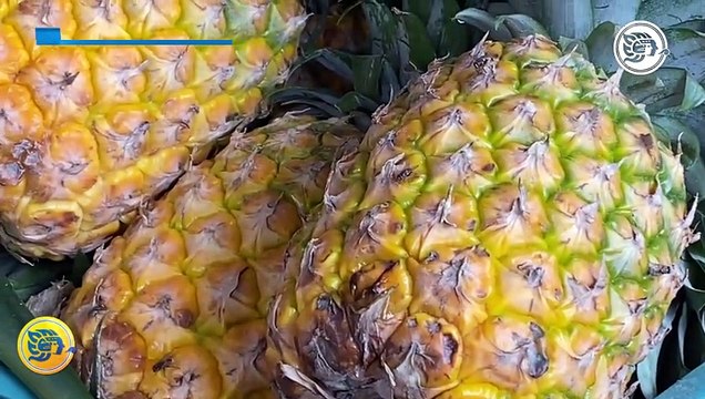 Comerciantes de Minatitlán aun reportan costos elevados en la piña
