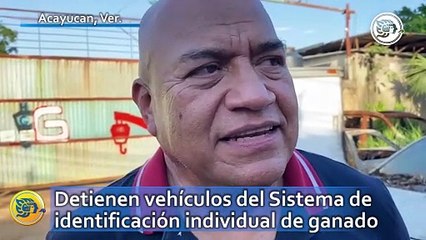 Detienen vehículos del Sistema de identificación individual de ganado en Acayucan