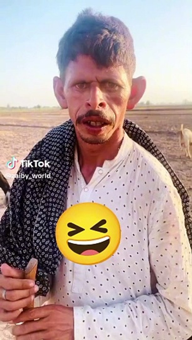 Entertainment video