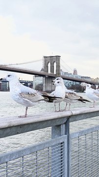 #birds #bird #nature #birdsofinstagram #wildlife #birdphotography #naturephotography #wildlifephotography #photography #birdwatching #birdlovers #animals #best #birding #of #ig