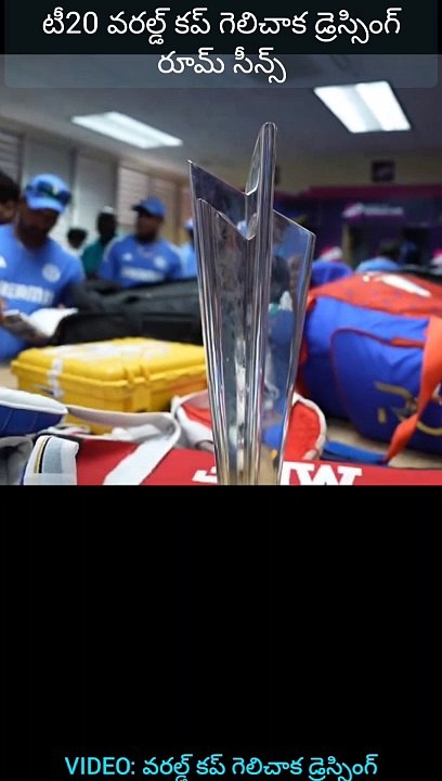 T20 winning celebrate