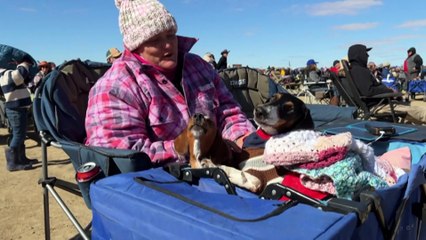 Mud not getting in the way of fun at Bid Red Bash festival site in remote Queensland