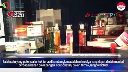 PT Evergen Resources dari Kendal Hasilkan Produk Bioteknologi Mikroalga, Sukses Bersaing di Pasar Global