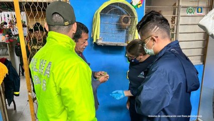 Capturan a ocho de "los guacamayos", por tráfico de fauna silvestre y exótica