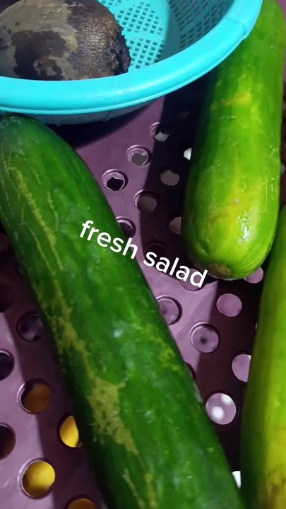 Fresh salad