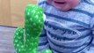 Cute Babies Playing with Dancing Cactus (Hilarious)Cute Baby Funny Videos